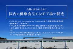 gmp_image